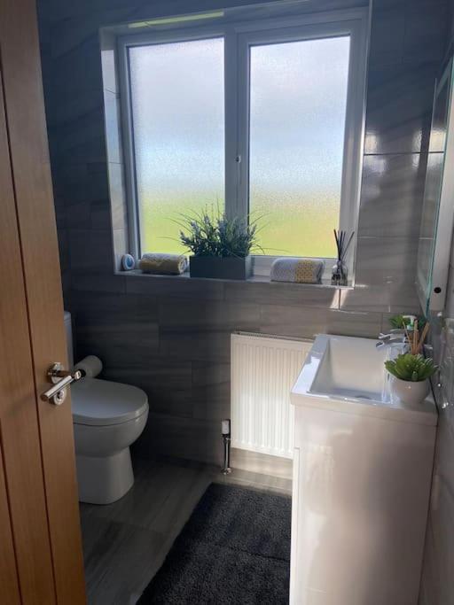 Apartamento 'Little Acre' Perfect For Business Or Pleasure Portadown Exterior foto